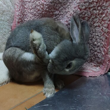 足の裏も念入りに