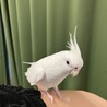 の写真