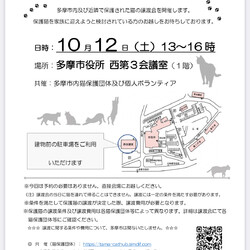多摩市役所にて【保護猫譲渡会】初開催