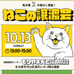 保護猫譲渡会 in 名古屋