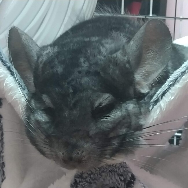 まぁたいさのカバー写真