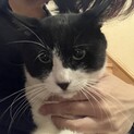 お膝の上が大好きな甘えん坊♡
