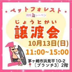 ペットフォレスト譲渡会