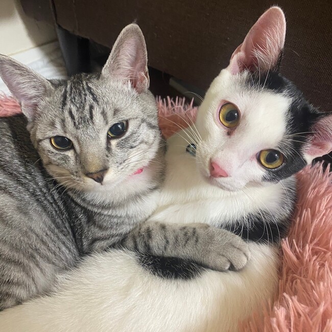 すみやん0729のカバー写真