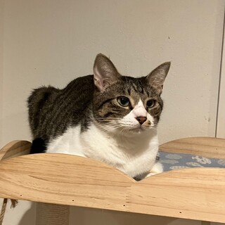 ෆ⃛ちゅ〜る大好きෆ⃛かなでくん