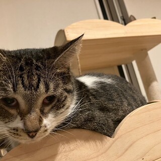 ෆ⃛甘え上手ですෆ⃛ひびきちゃん