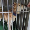 ありがとうございました！