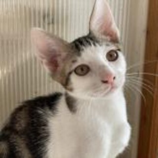 細長一族★わむ君★好奇心旺盛なびびり