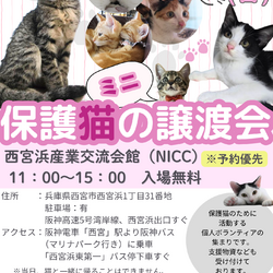 西宮保護猫かぎしっぽミニ譲渡会【予約優先制】