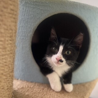 12/8幕張ෆ⃛人馴れ抜群ෆ⃛ウランちゃん