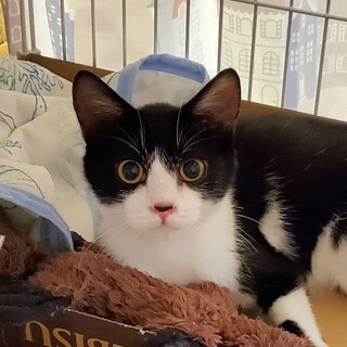 エビスくん、ずっとのおうちが見つかりました！