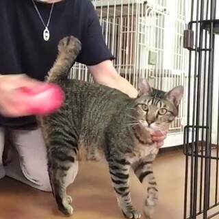 食欲旺盛なショーくん