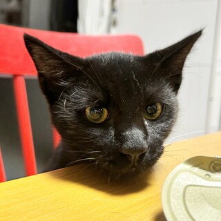 切長目イケメンの兵矢くん☆