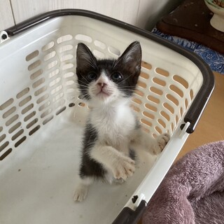 人が大好きな可愛い男の子ジャン君