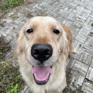 2歳の女の子です