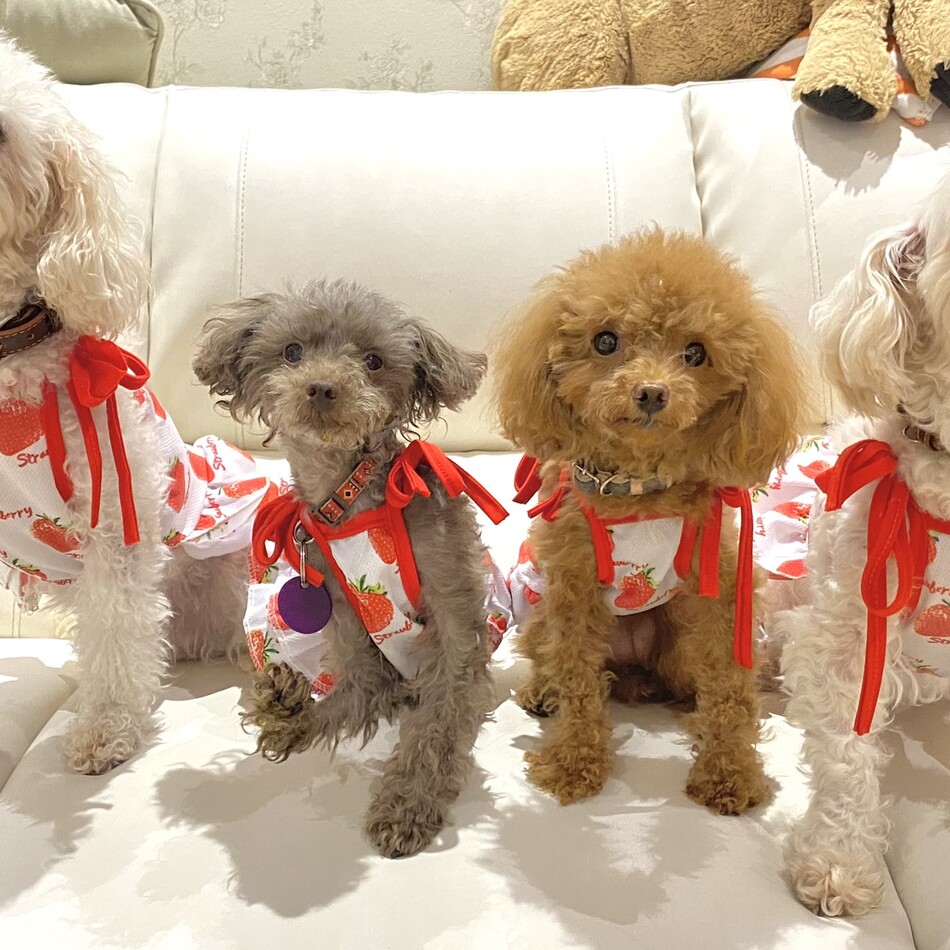 ユッキーのカバー写真