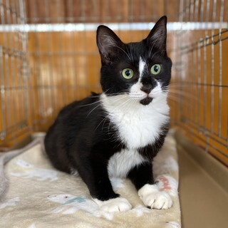 ♦︎しずく　男の子♦︎