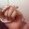 の写真