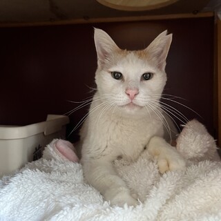 LOVE is お婆『小松菜』