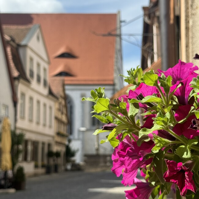 なし様のカバー写真