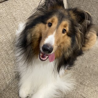 お話中の為一時ストップします！