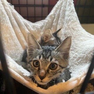 おやつが大好き☆こうすけ