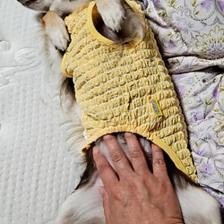 「お着替えバナちゃん」サムネイル3