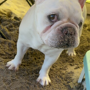 2024 8/12  御宿浜