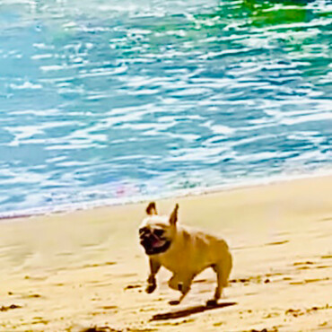 2024  8/12    御宿浜