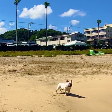 Alohaちゃん　　　初海