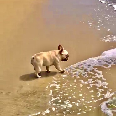 Moanaちゃん　　初海