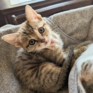 おっとりとっても甘えん坊女子❤️くるみ