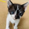 ありがとうございました！生後1ヶ月・男の子