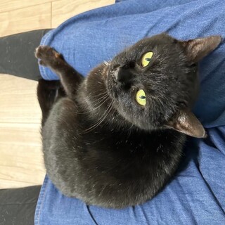 【被災地より】アカイア