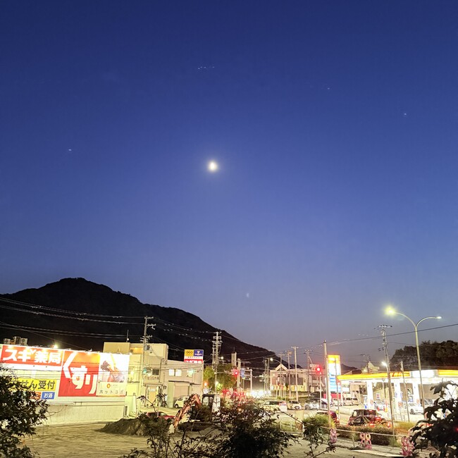 ねずみきつねざるママのカバー写真