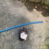 の写真