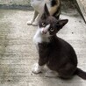 の写真