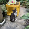 の写真