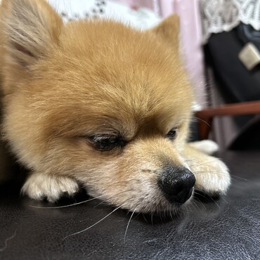の写真