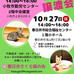 保護猫の譲渡会in春日井