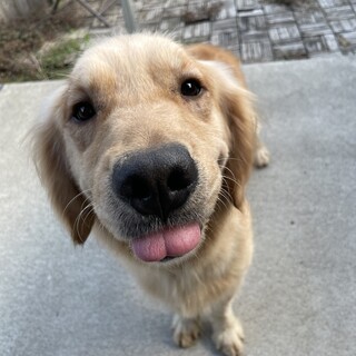 2歳の女の子です