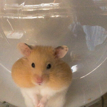 の写真