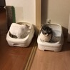 仲良くトイレ！