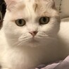 マロちゃん