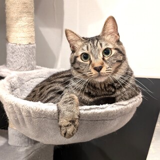 【ジーノ】おもちゃ大好き！好奇心旺盛な男の子