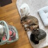 の写真