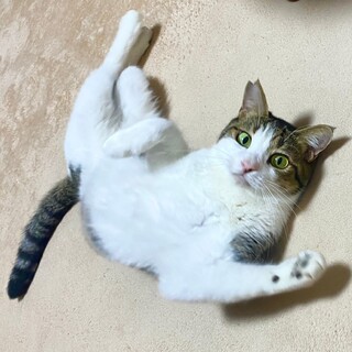 まんまるおめめが印象的な男の子★じゃじゃ丸くん