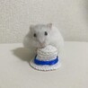 moru0125