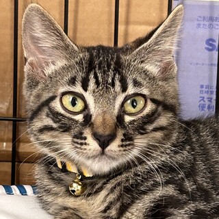 環境に不安ありの場所より親子で保護