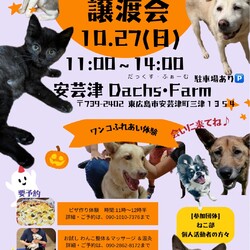 いぬねこ譲渡会